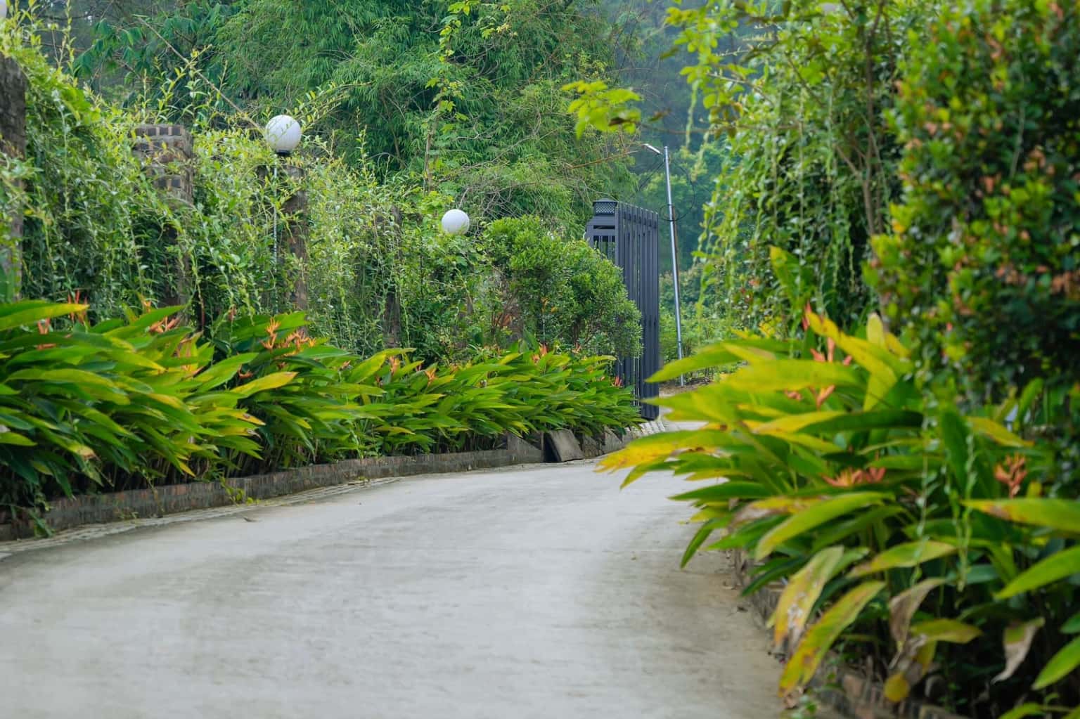 Lakasa Villa tại Yên Bài, Ba Vì — ảnh 6