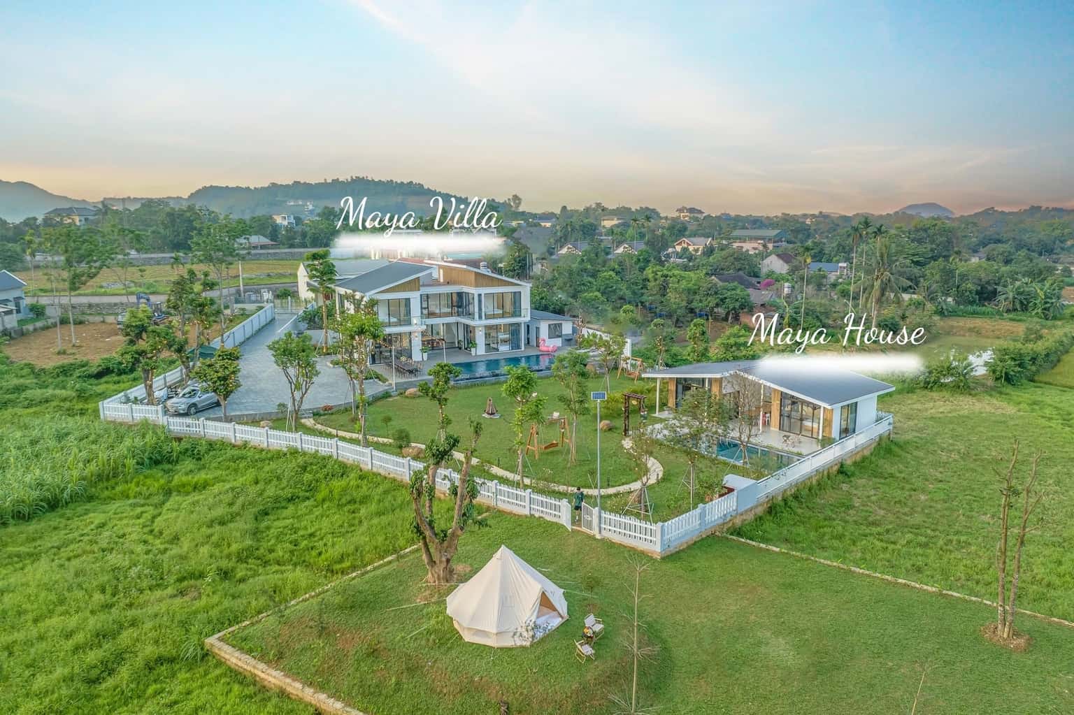 Thả diều