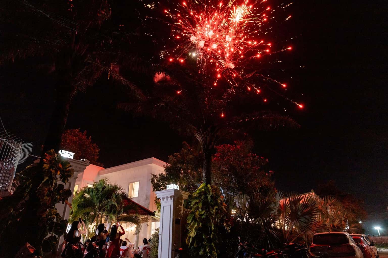 Palm Villa 20, D11 Đào Duy Từ, Vũng Tàu — ảnh 3