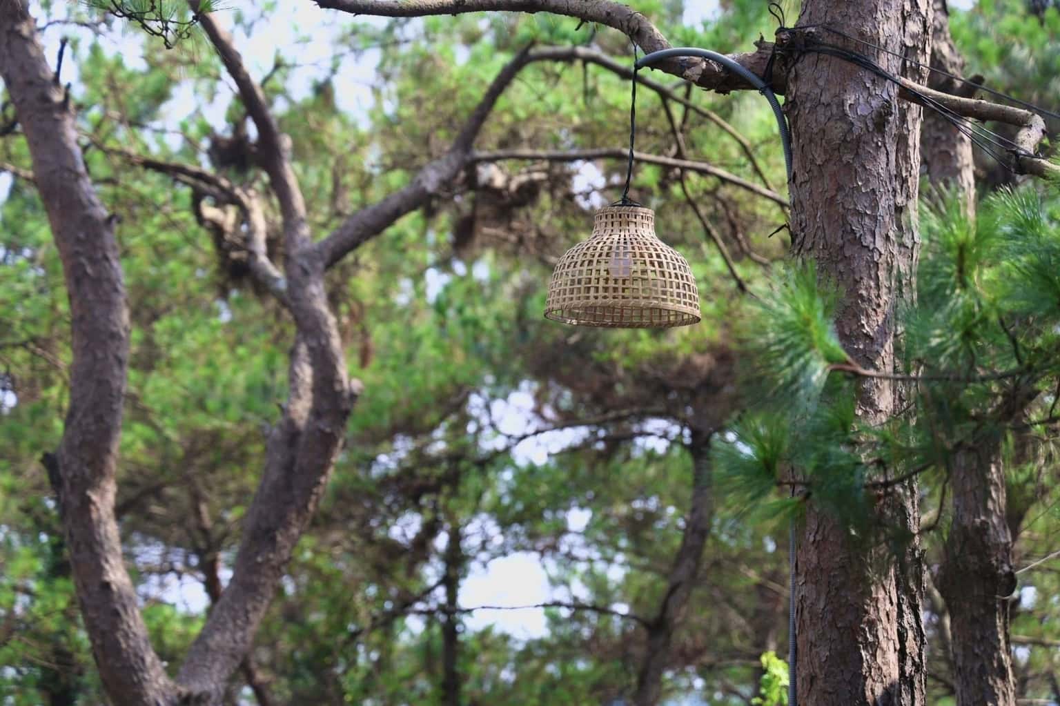 Pine 3 (Ruby Retreat) at Hồ Đồng Đò, Sóc Sơn — photo 35