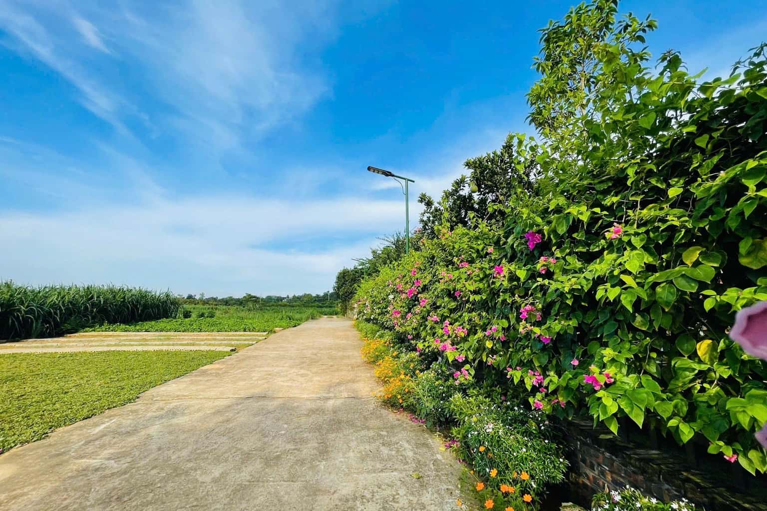 位于 Vân Hòa、Ba Vì 的 Hương Cỏ Villa — 照片 7