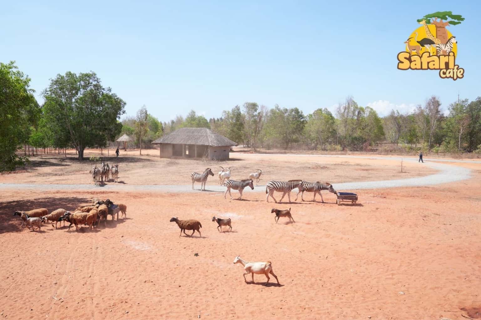 Safari Cafe Phan Thiết — ảnh 21