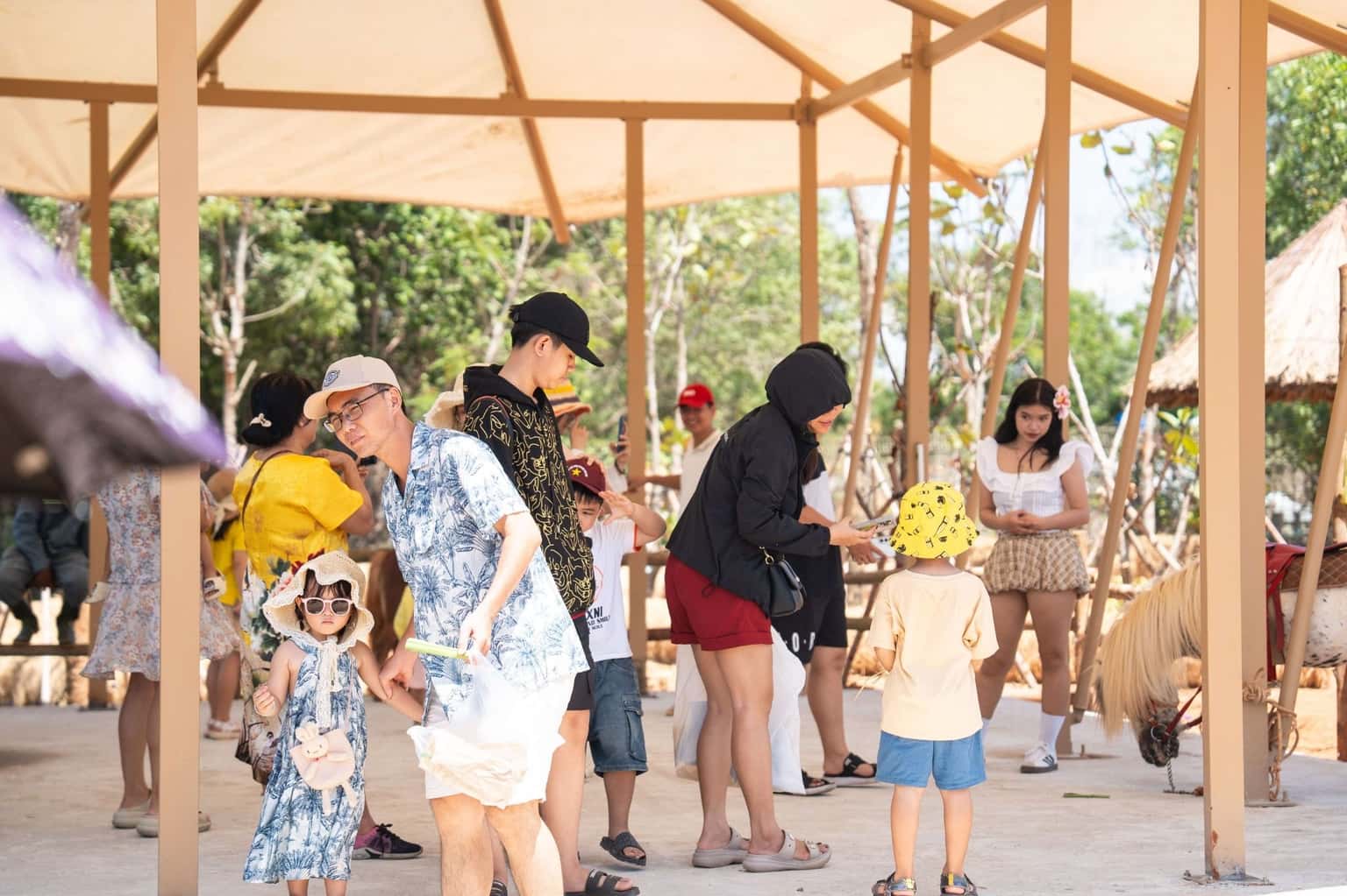 Safari Cafe Phan Thiết — ảnh 7