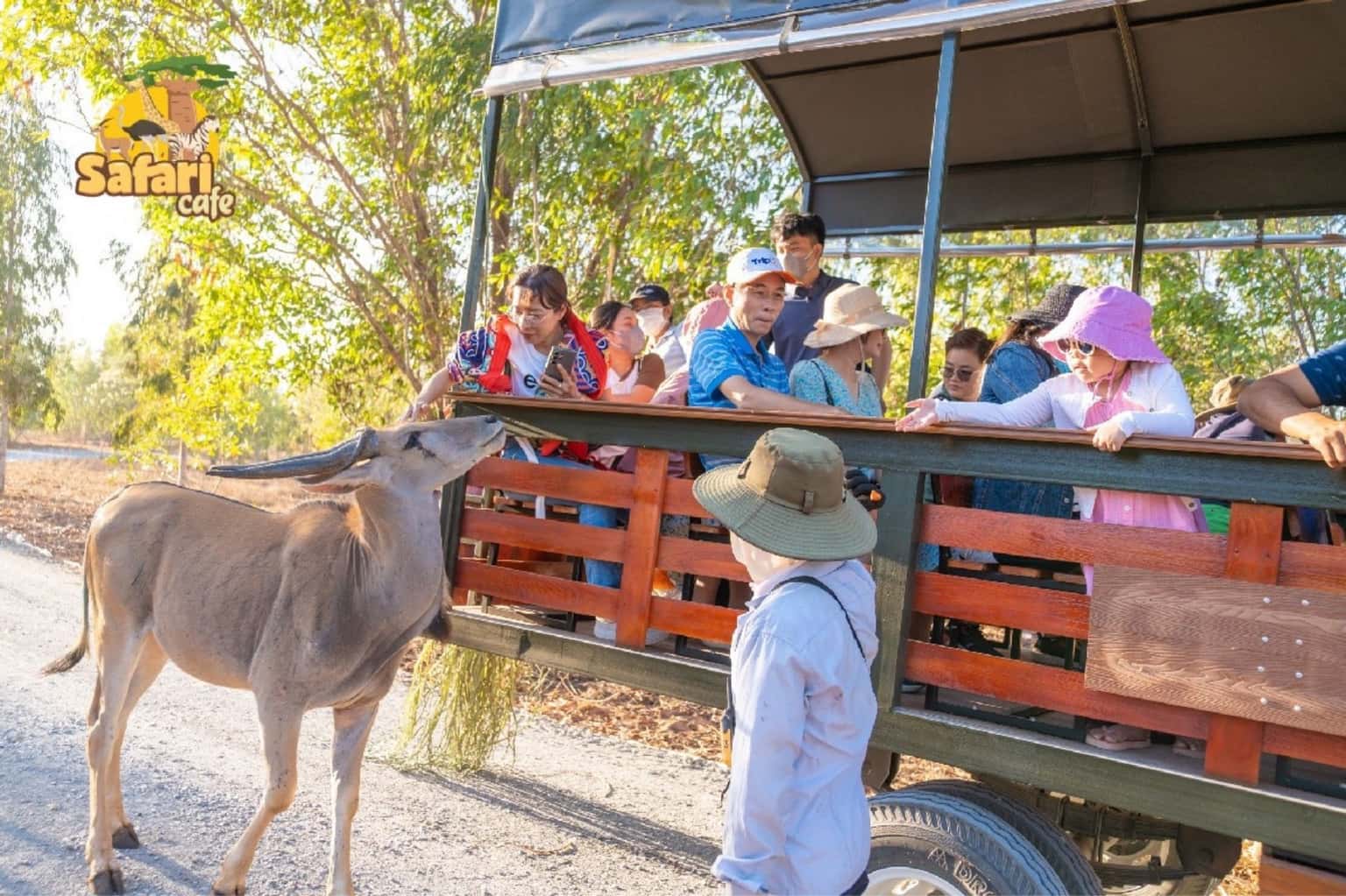 Safari Cafe Phan Thiết — ảnh 20