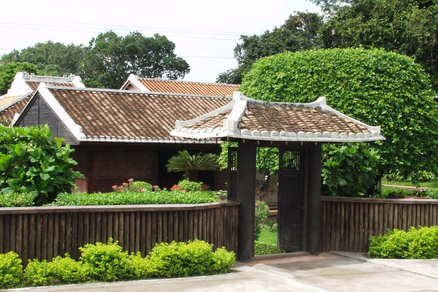 Trường Dục Thanh Phan Thiết — ảnh 16