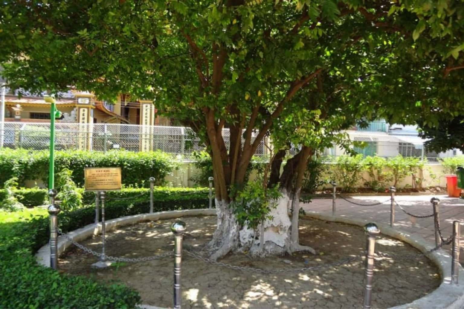 Trường Dục Thanh Phan Thiết — ảnh 11