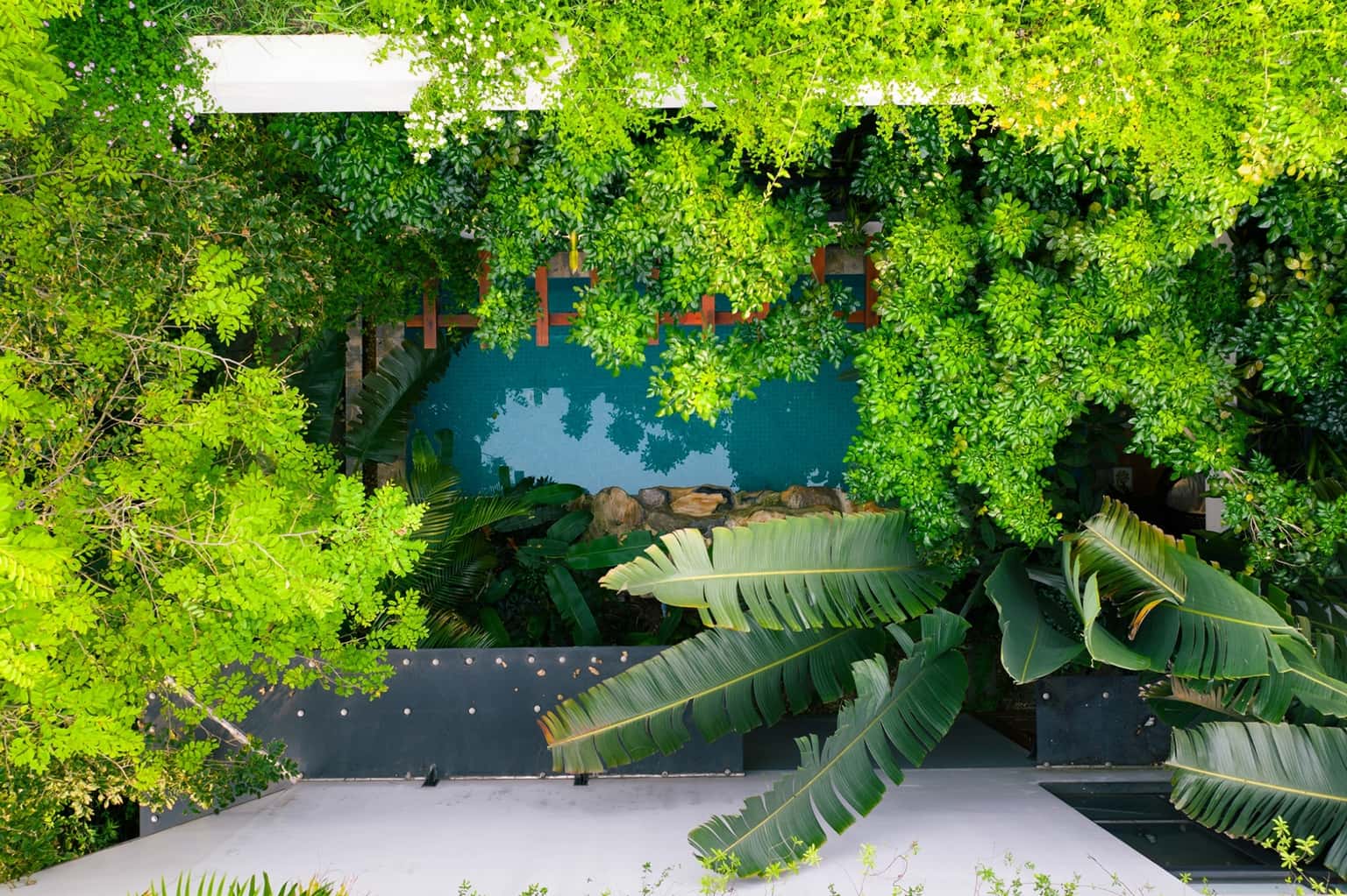 Mansion de Cactus E3.16, Venus Đại Lải — photo 12