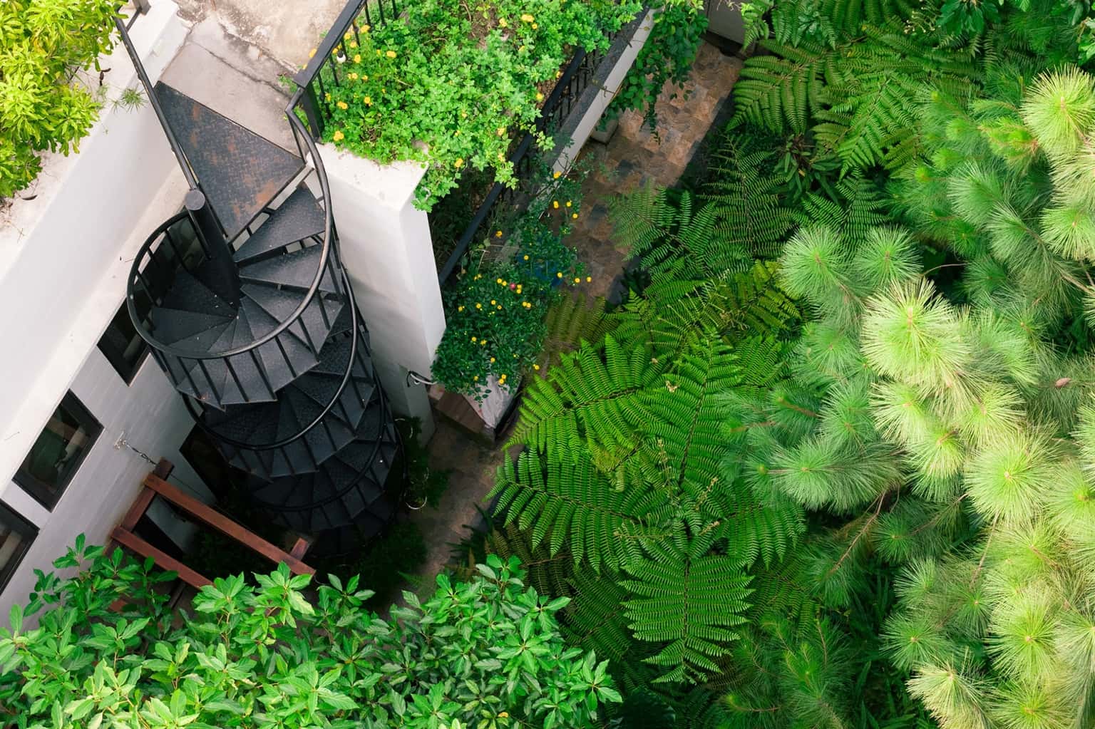 Mansion de Cactus E3.16, Venus Đại Lải — photo 14