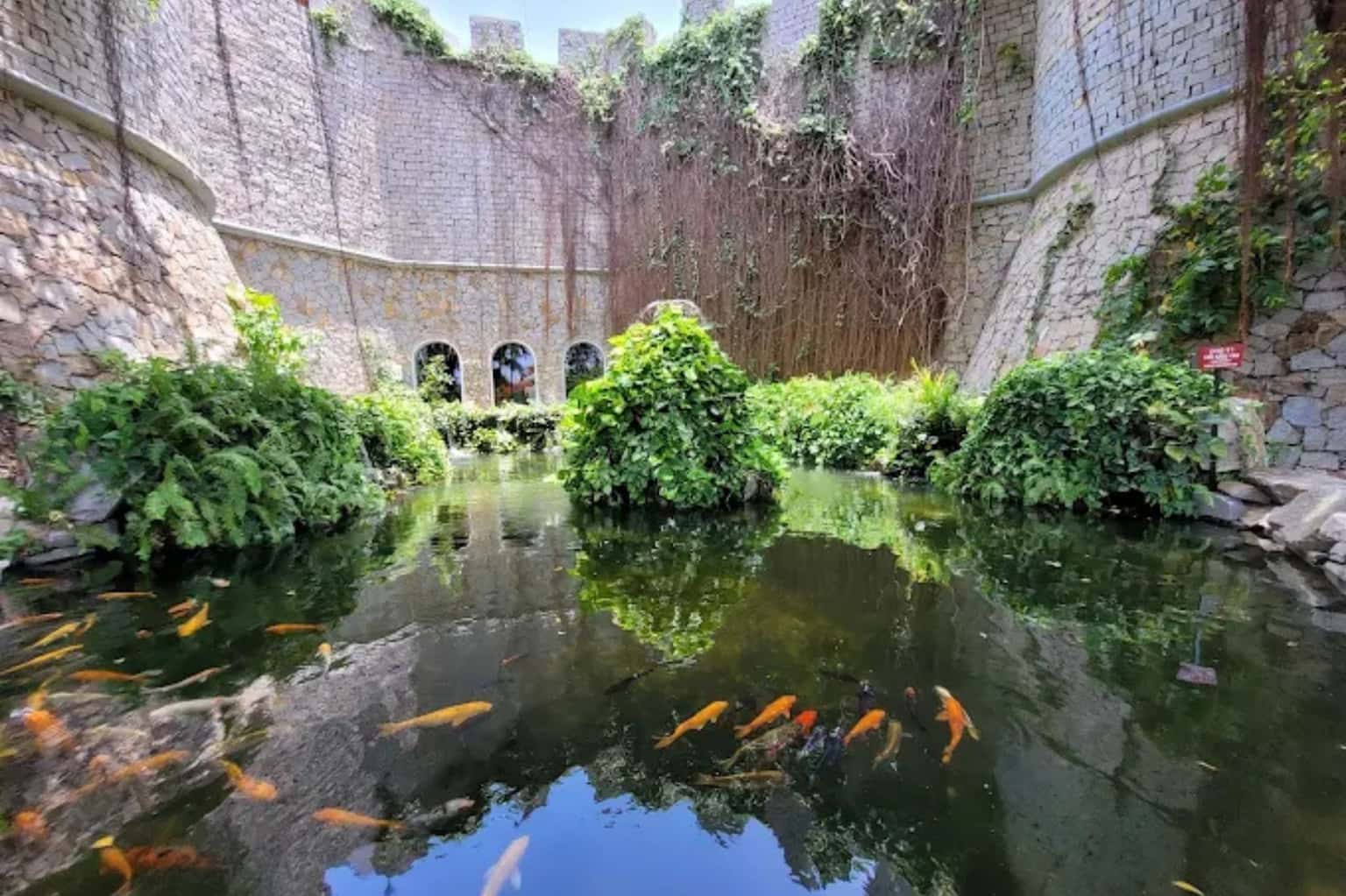 RD Wine Castle 葡萄酒城堡 — 照片 8