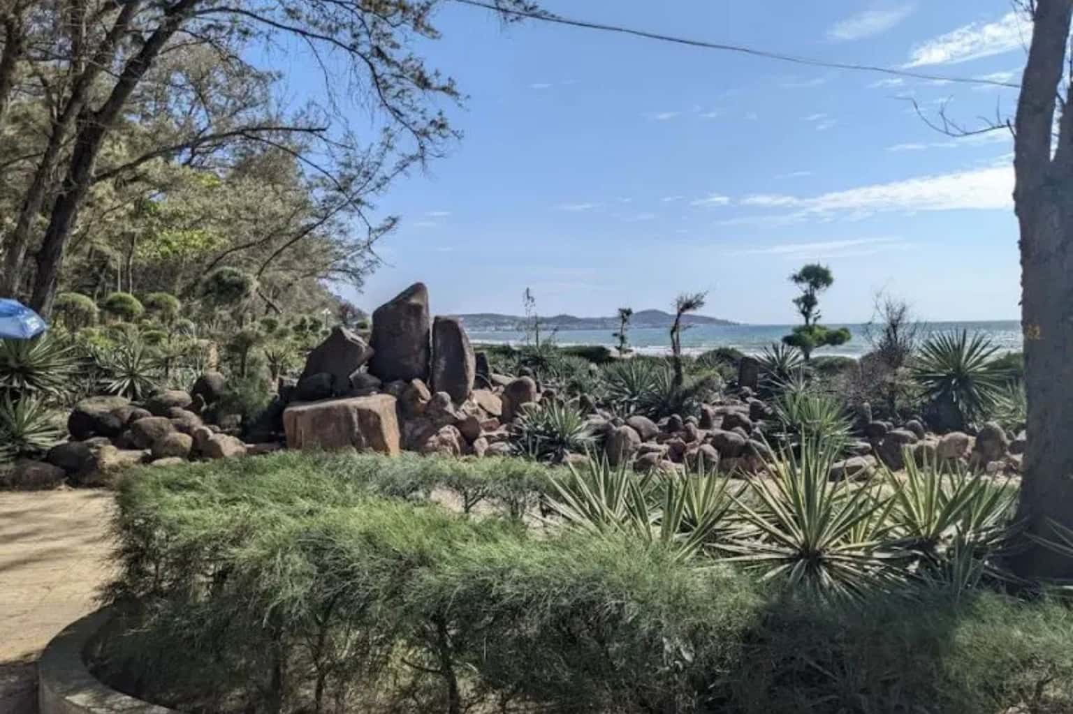 Bãi Biển Đồi Dương — ảnh 9