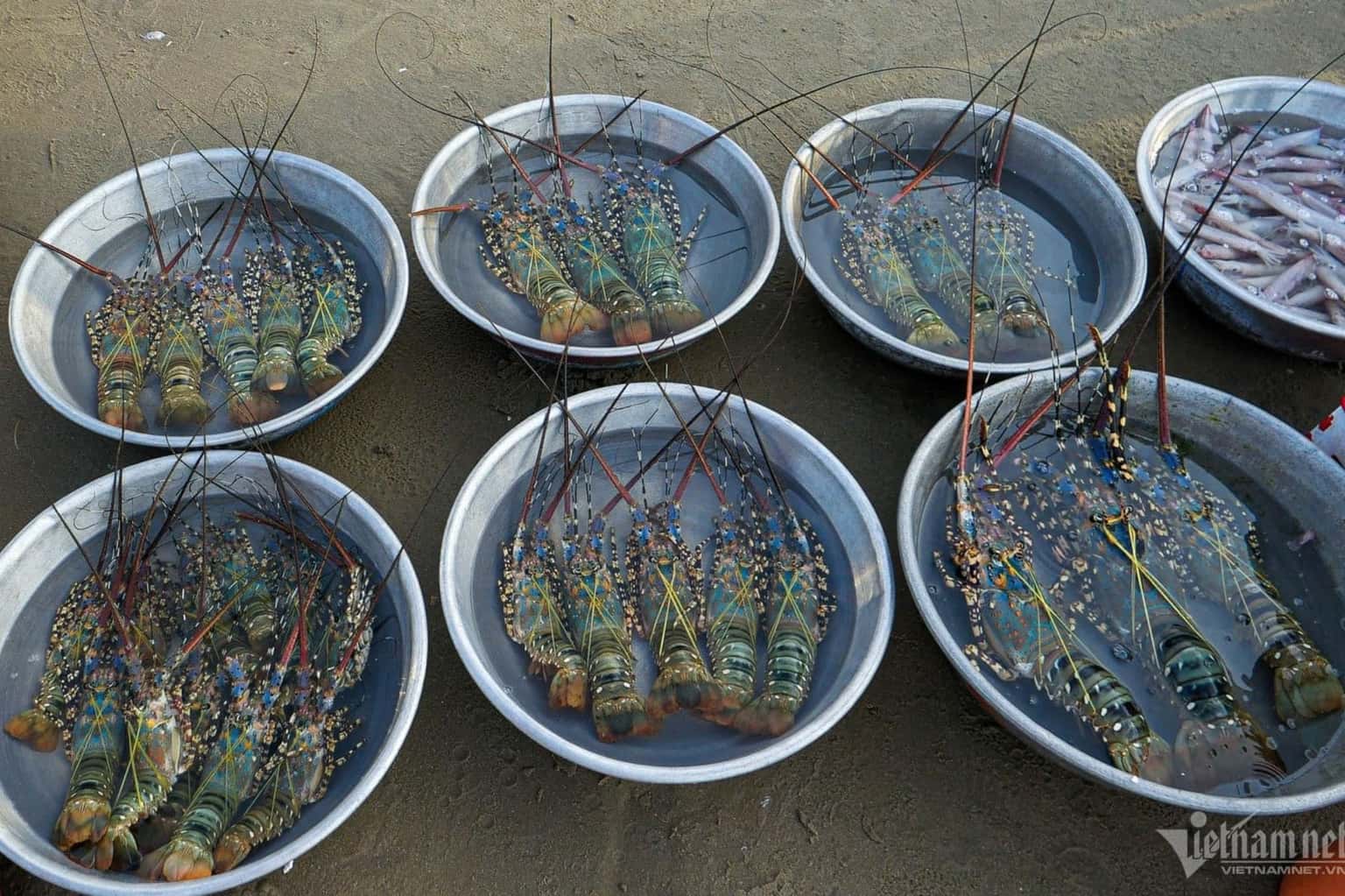 Làng chài Mũi Né — ảnh 2