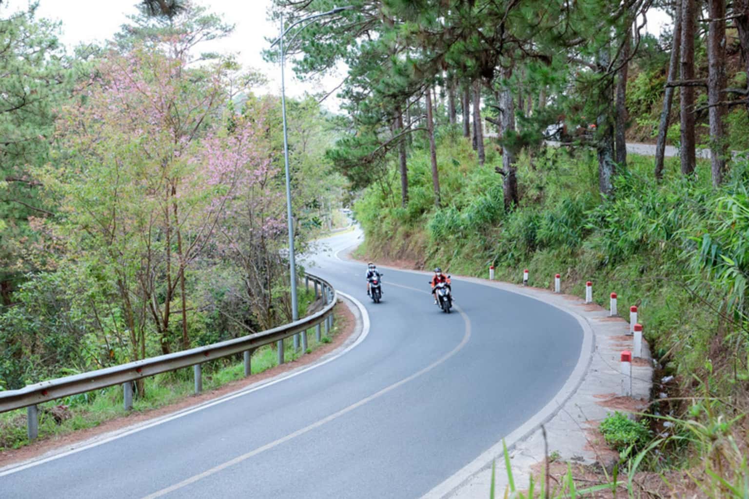 Đèo Mimosa — ảnh 5