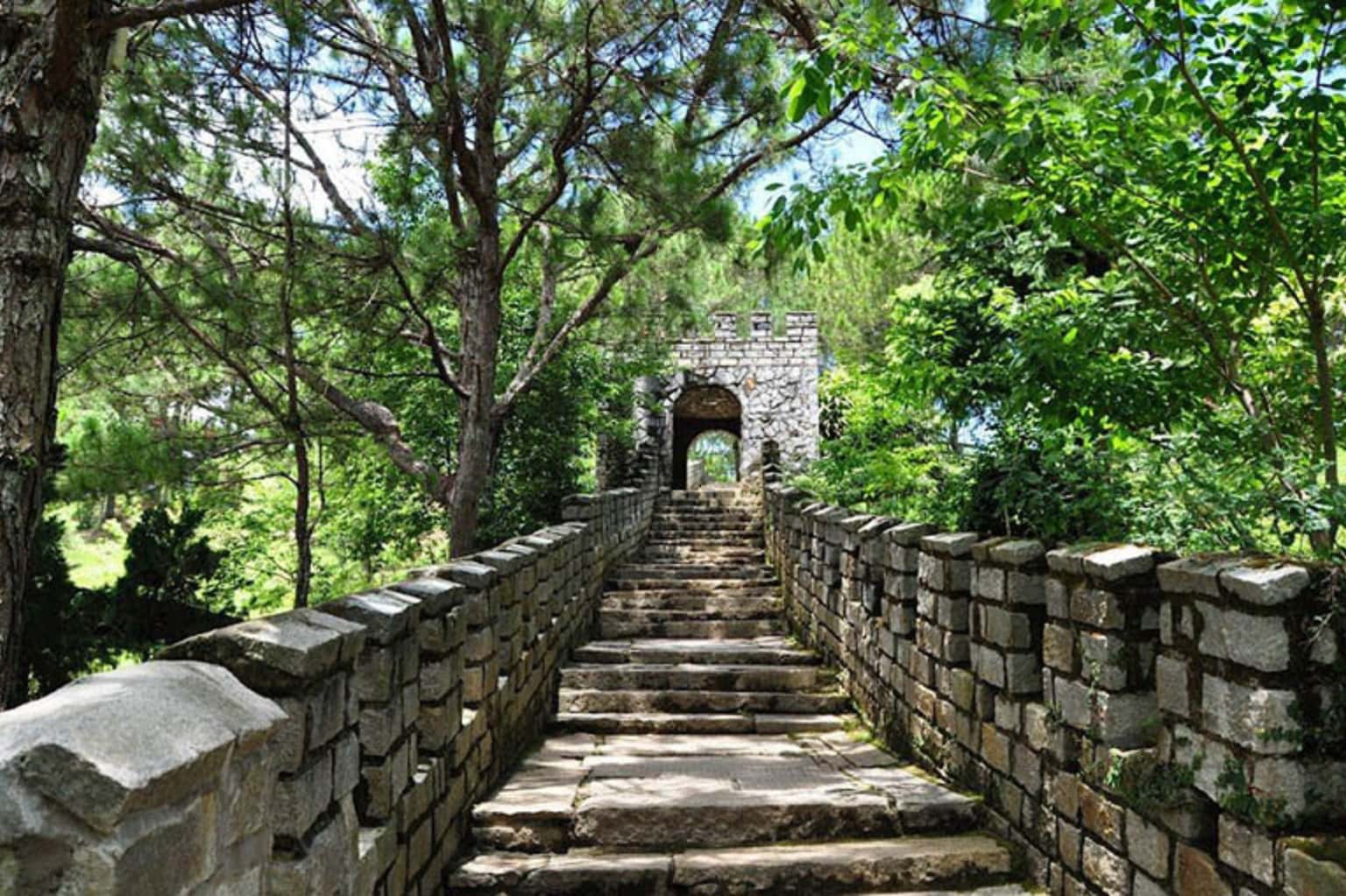 Đồi Mộng Mơ — ảnh 5