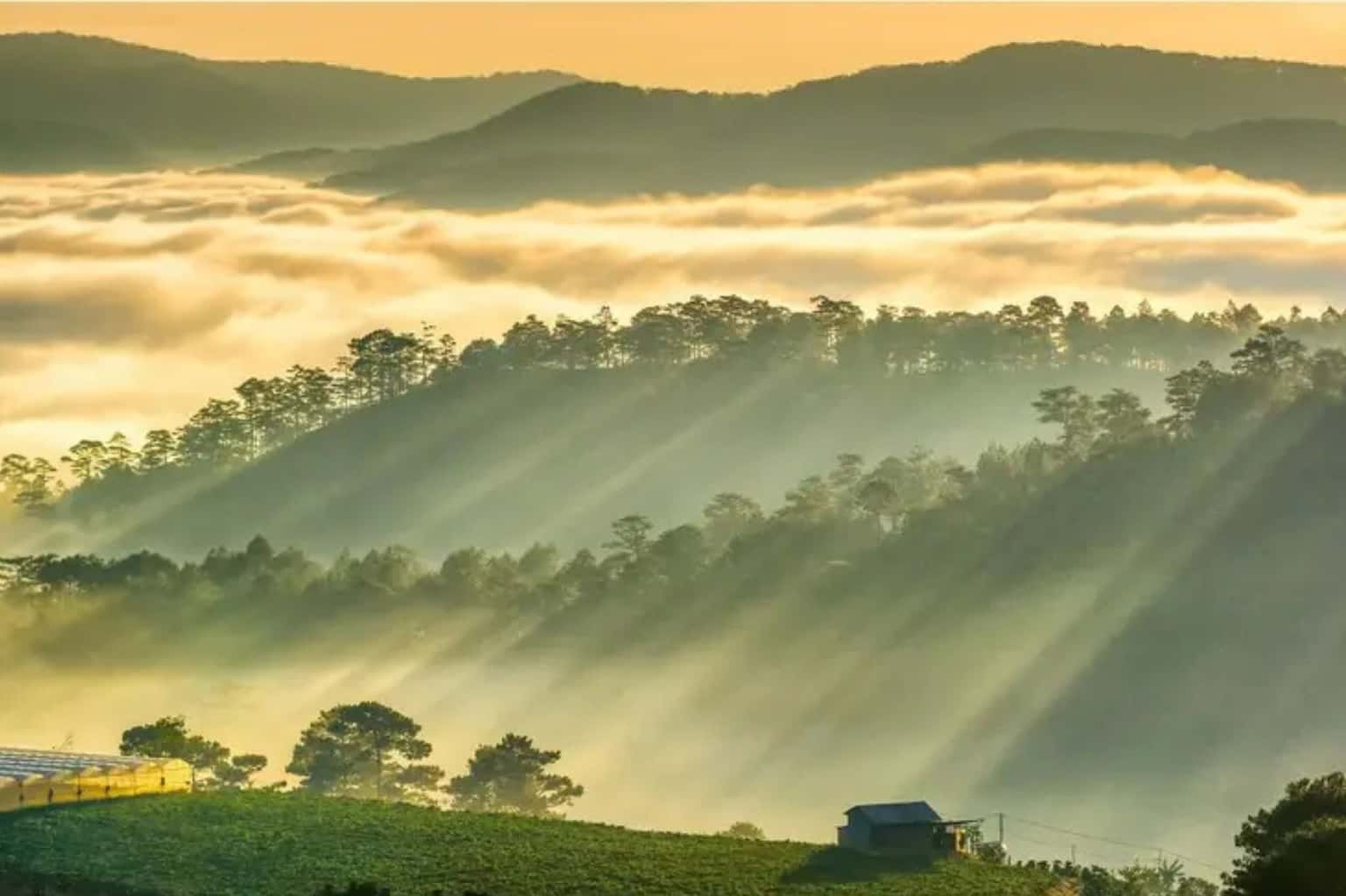 Trại Mát — ảnh 4