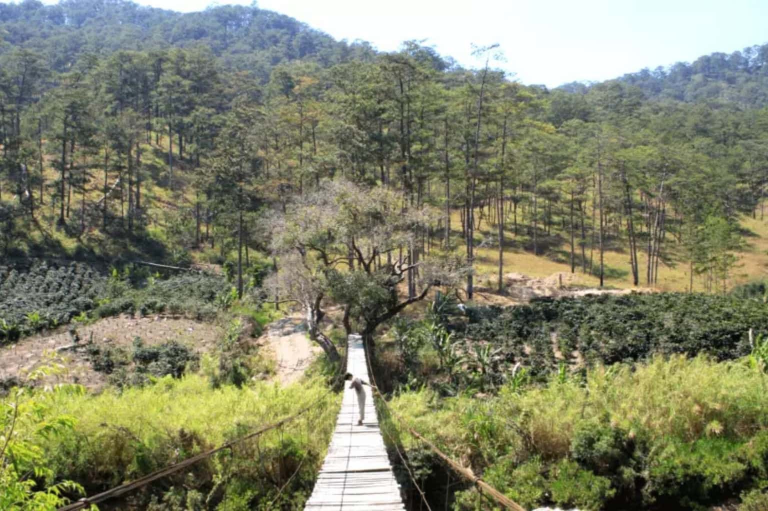 Thác Hang Cọp — ảnh 4