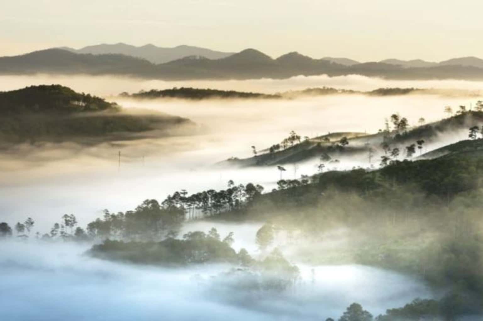 Đồi Thiên Phúc Đức — ảnh 4