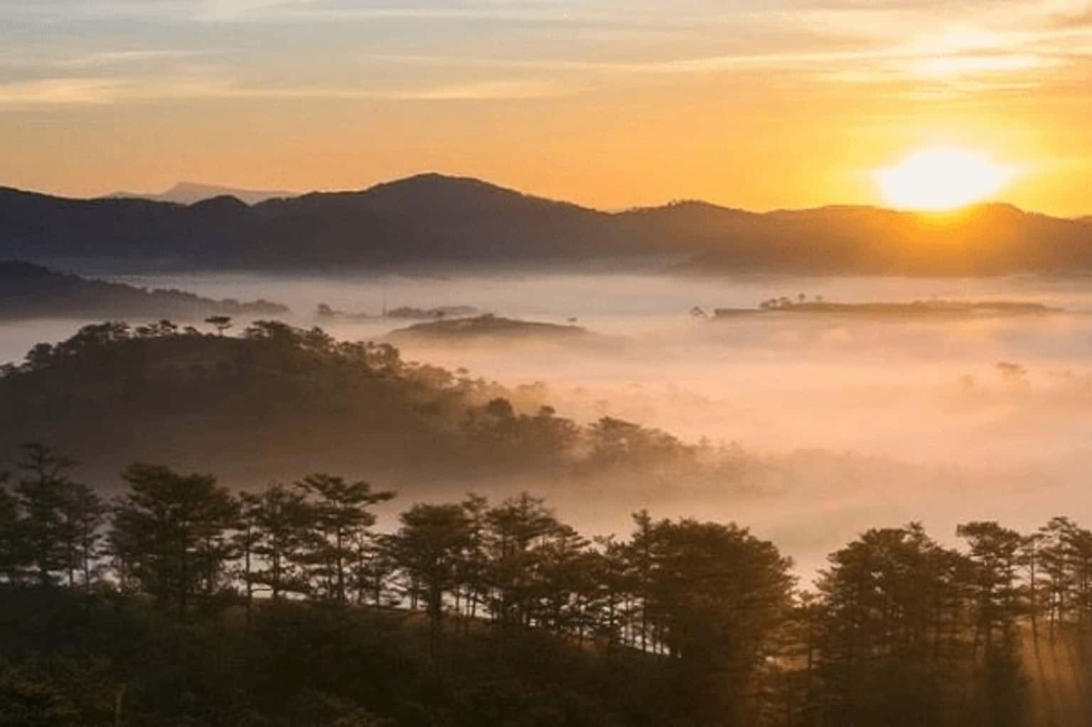 Đồi Thiên Phúc Đức — ảnh 3