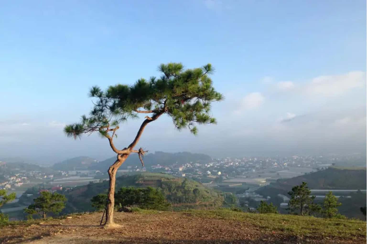 Đồi Thiên Phúc Đức — ảnh 2