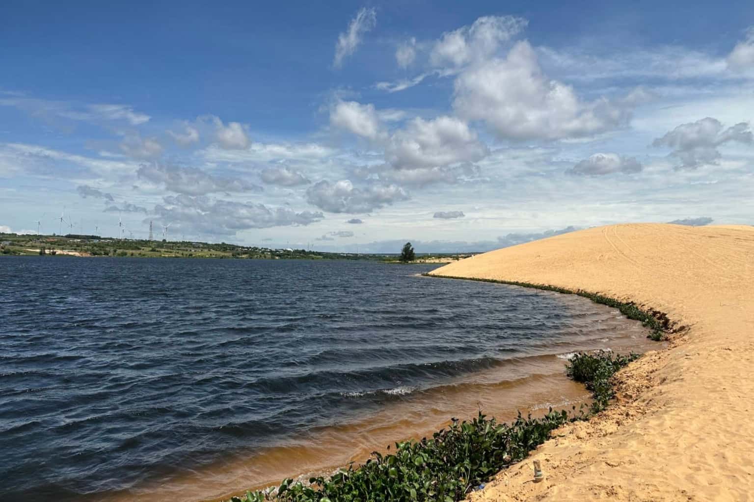 Bàu Trắng - Bàu Sen (White Sand Dunes) — photo 41