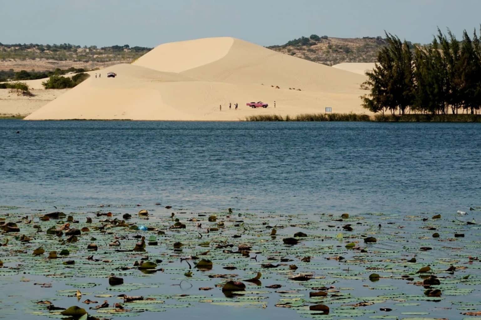 Bàu Trắng - Bàu Sen (White Sand Dunes) — photo 6