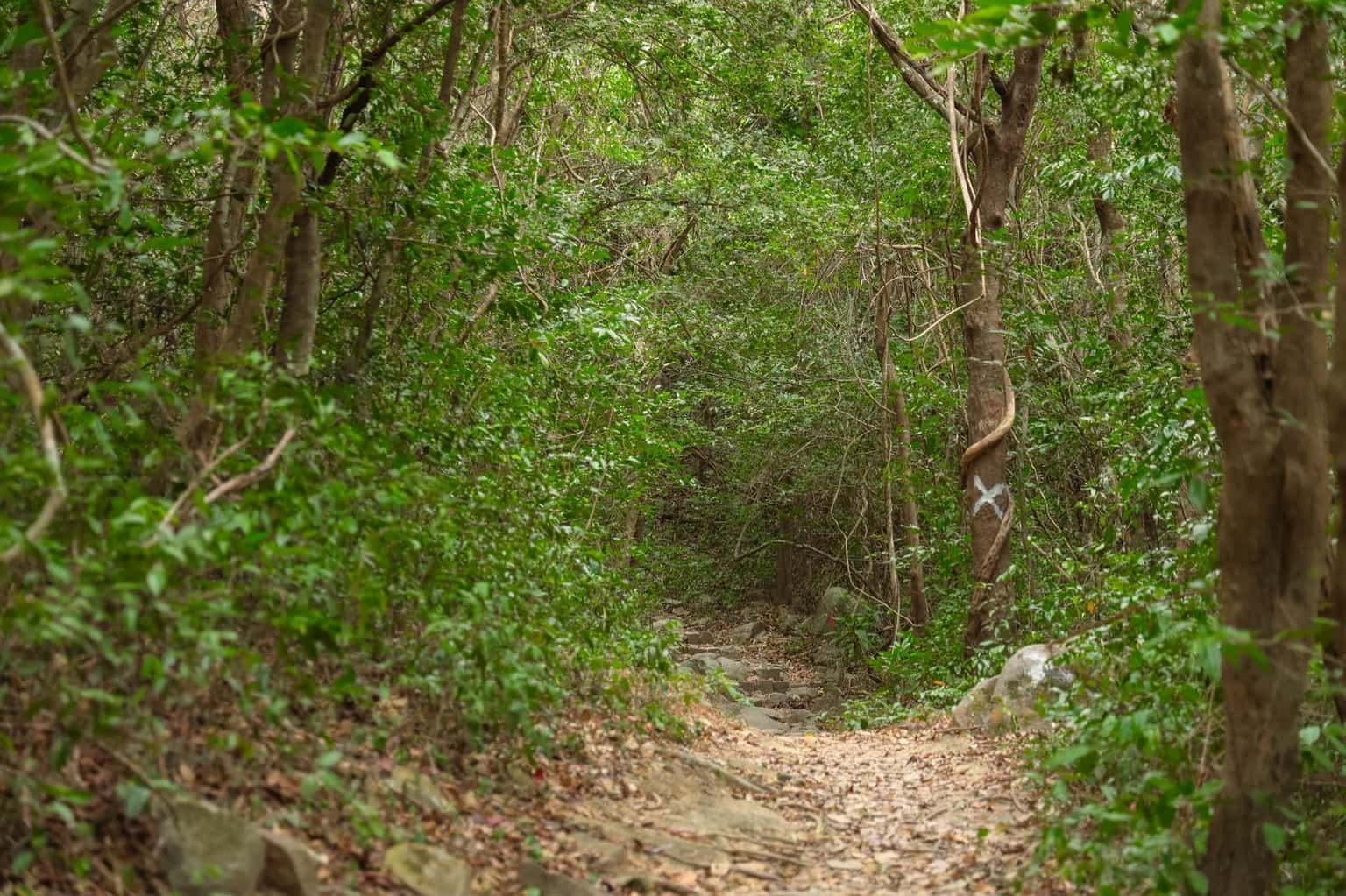 Núi Tà Cú — ảnh 12