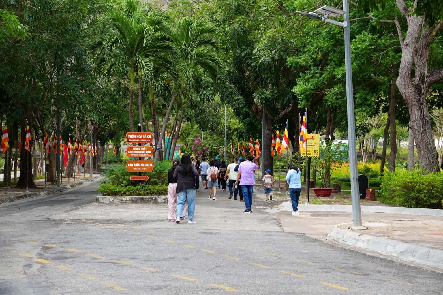 Núi Tà Cú — ảnh 14