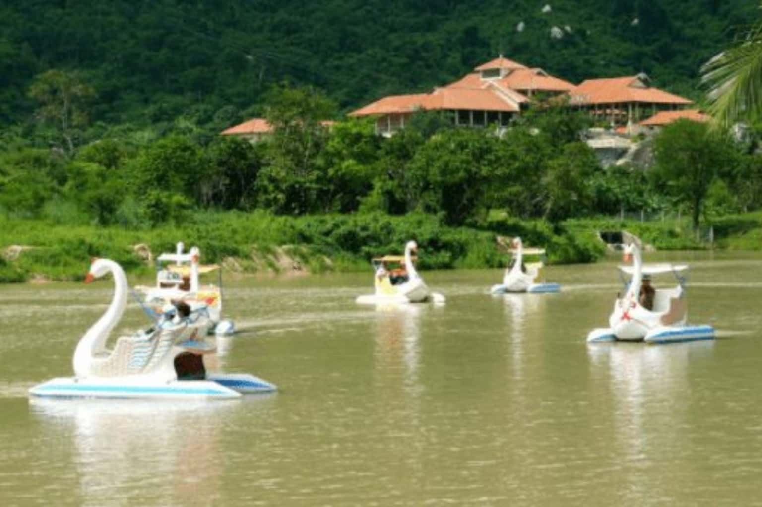 Núi Tà Cú — ảnh 22