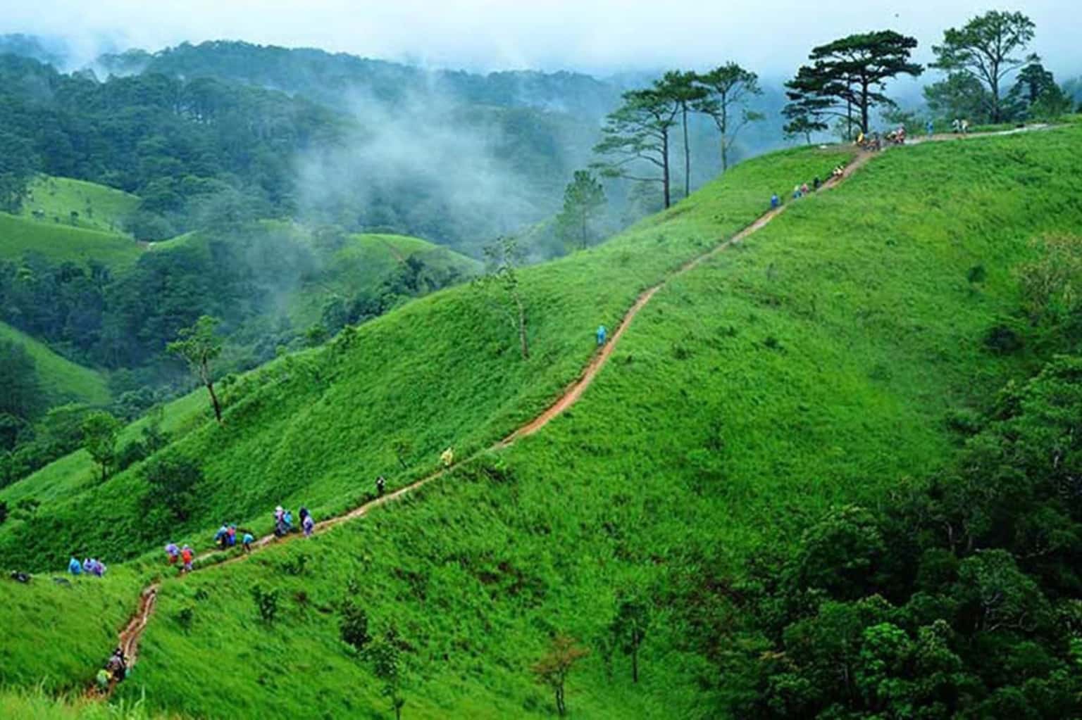 Tà Năng Phan Dũng — ảnh 2
