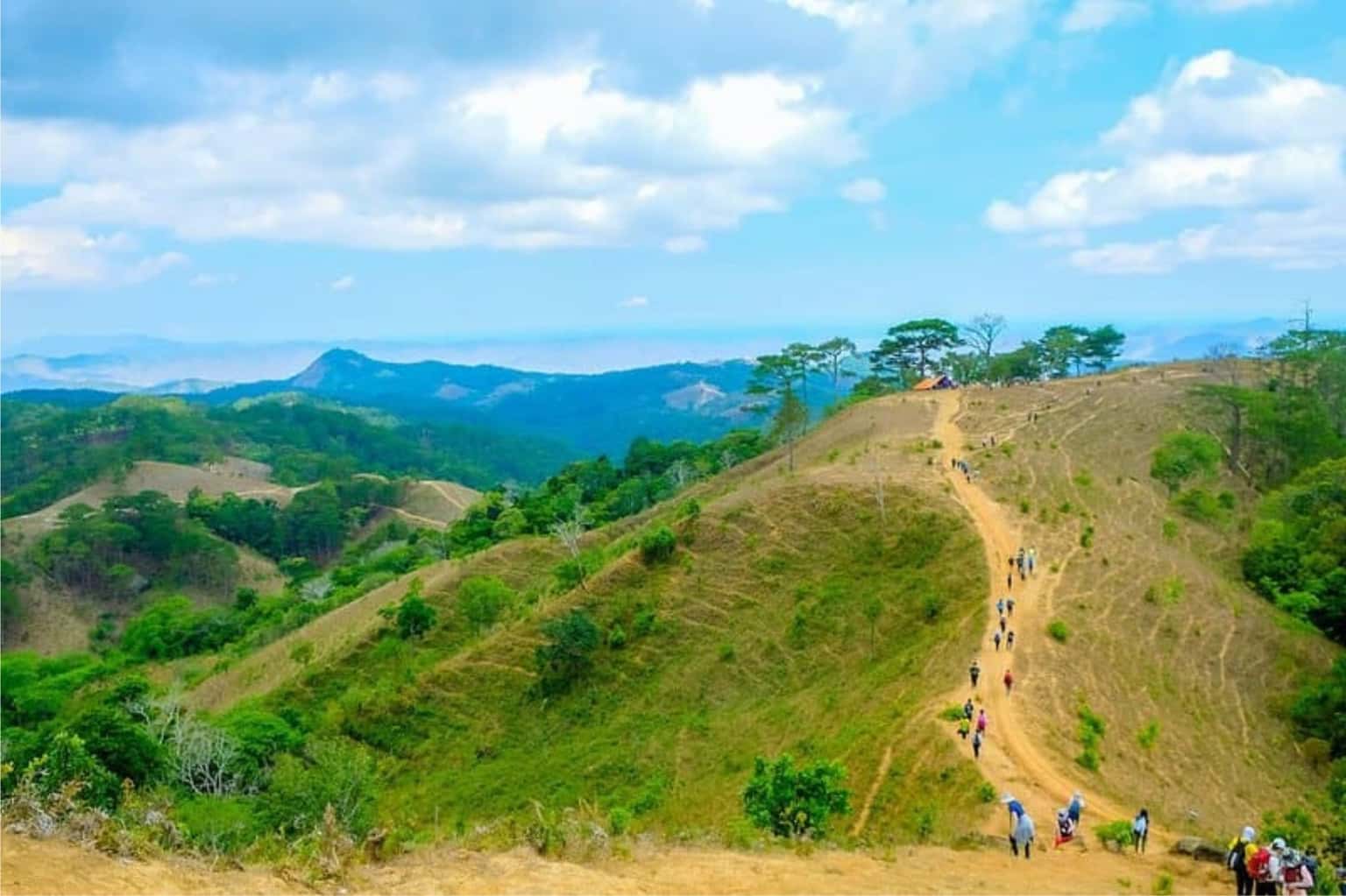 Tà Năng Phan Dũng — ảnh 5