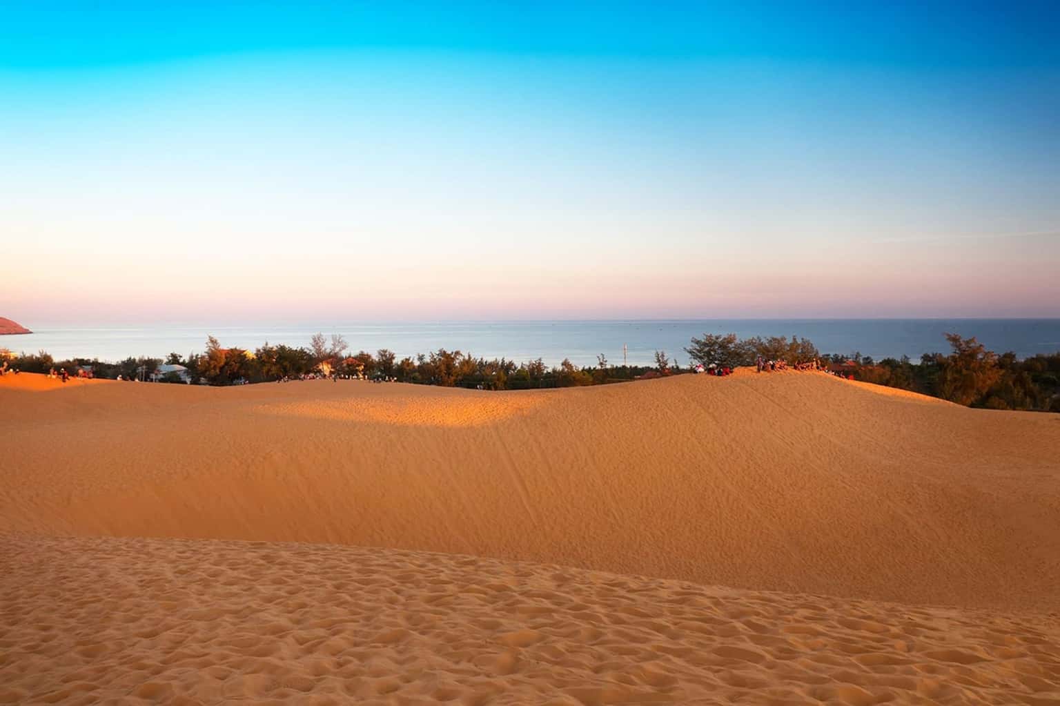 Đồi Cát Bay (Đồi Hồng) — ảnh 6