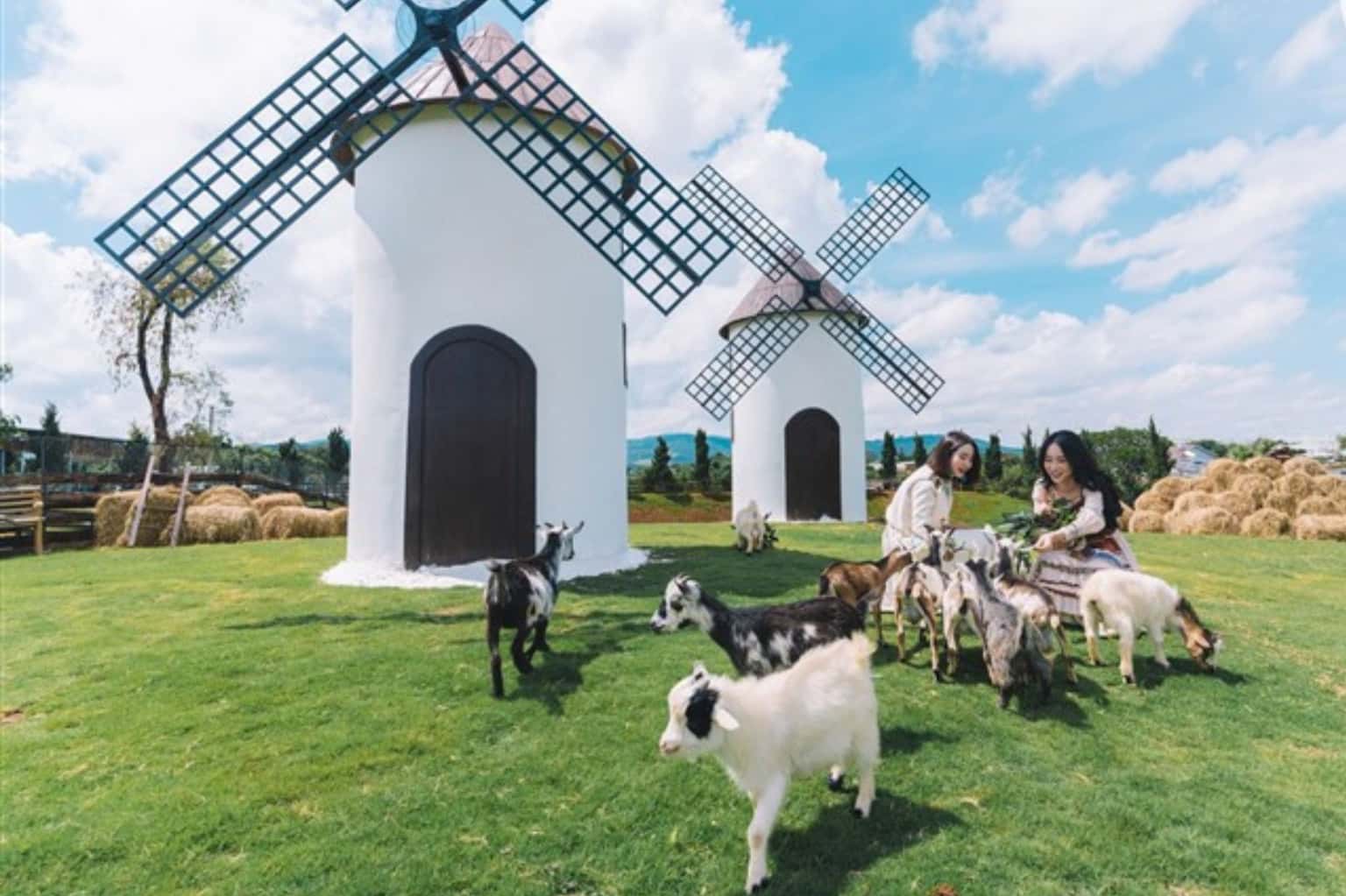 Mongo Land Đà Lạt — ảnh 5