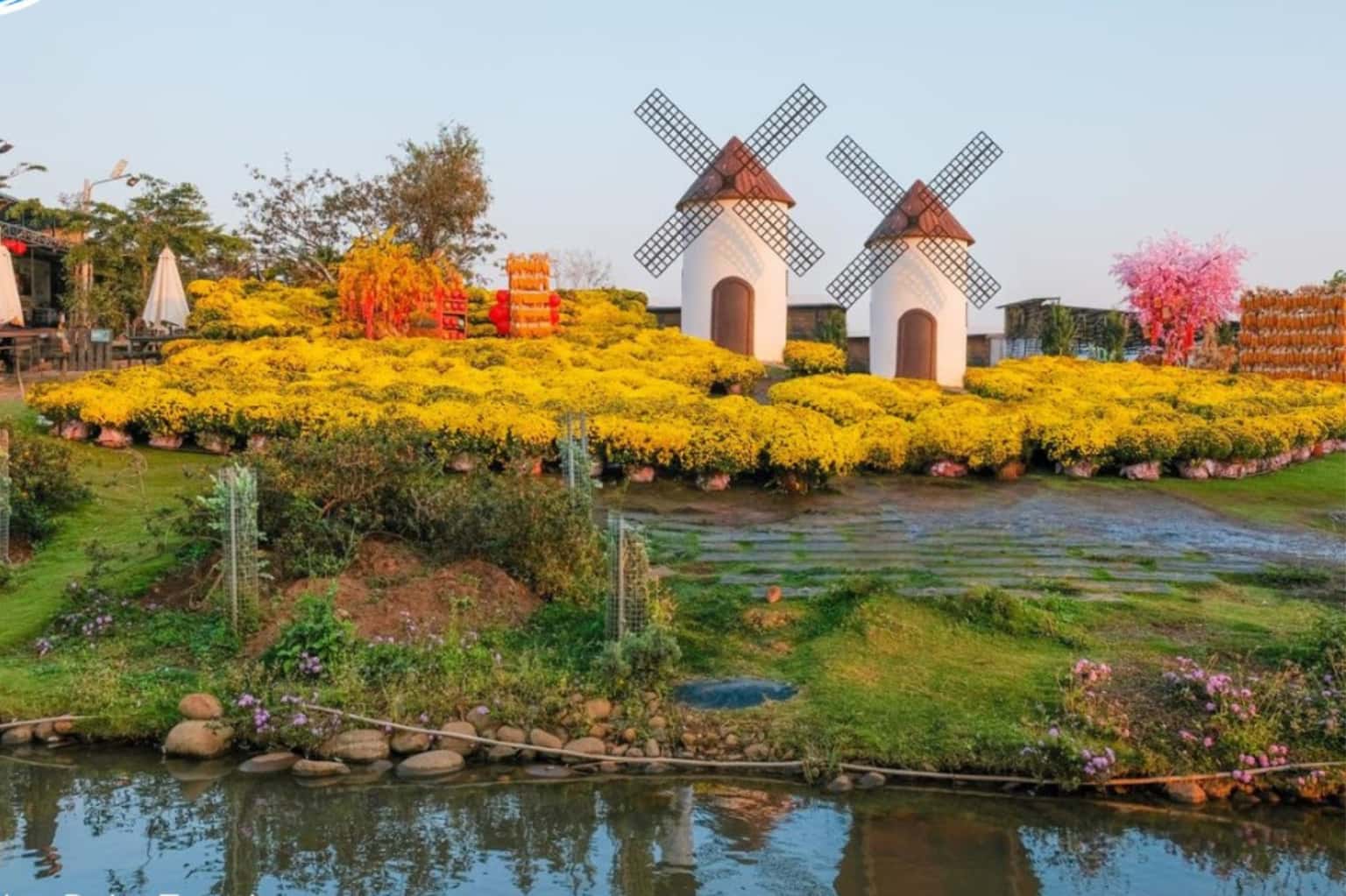 Mongo Land Đà Lạt — ảnh 2