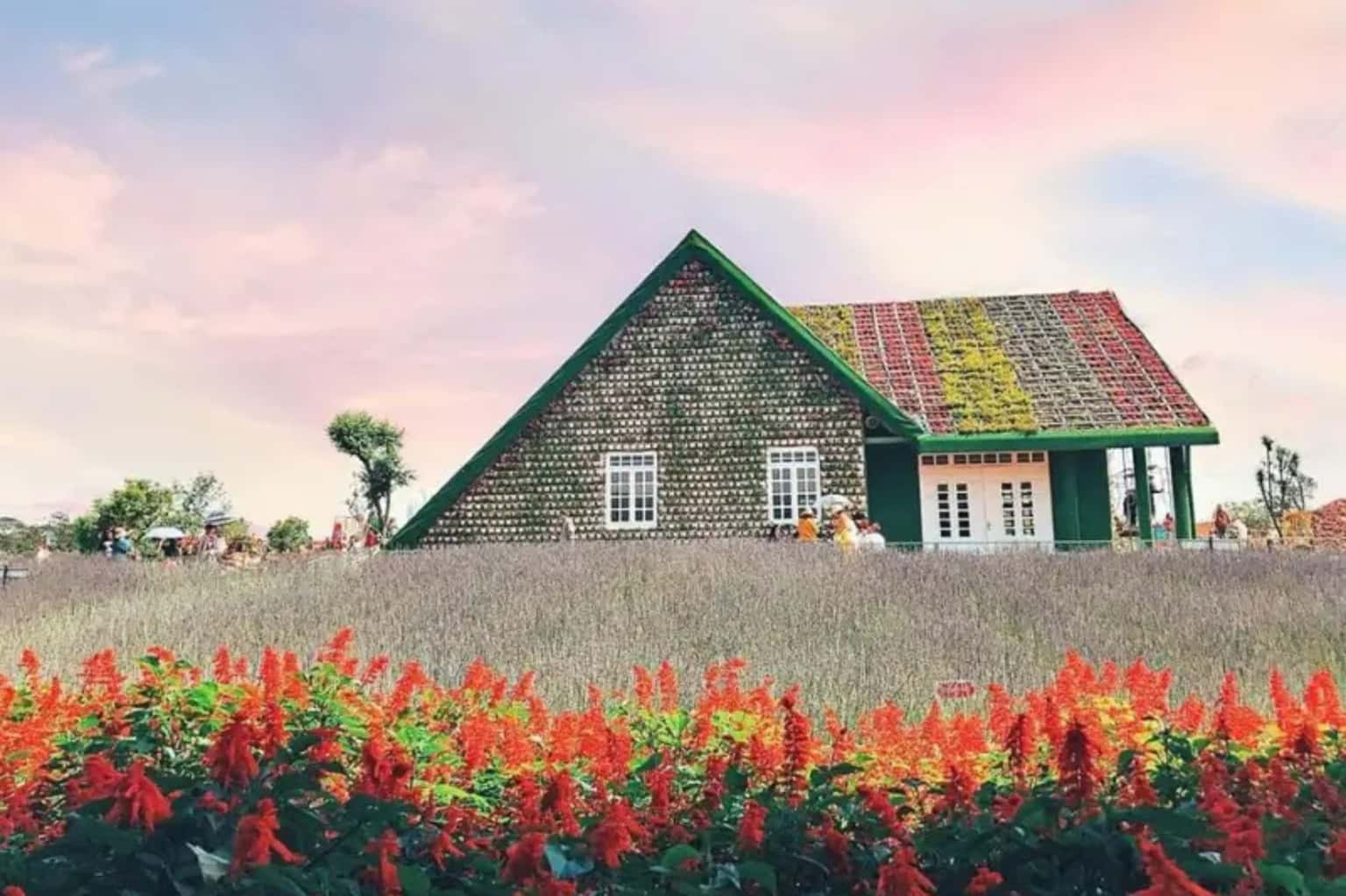 Làng hoa Vạn Thành Đà Lạt — ảnh 4