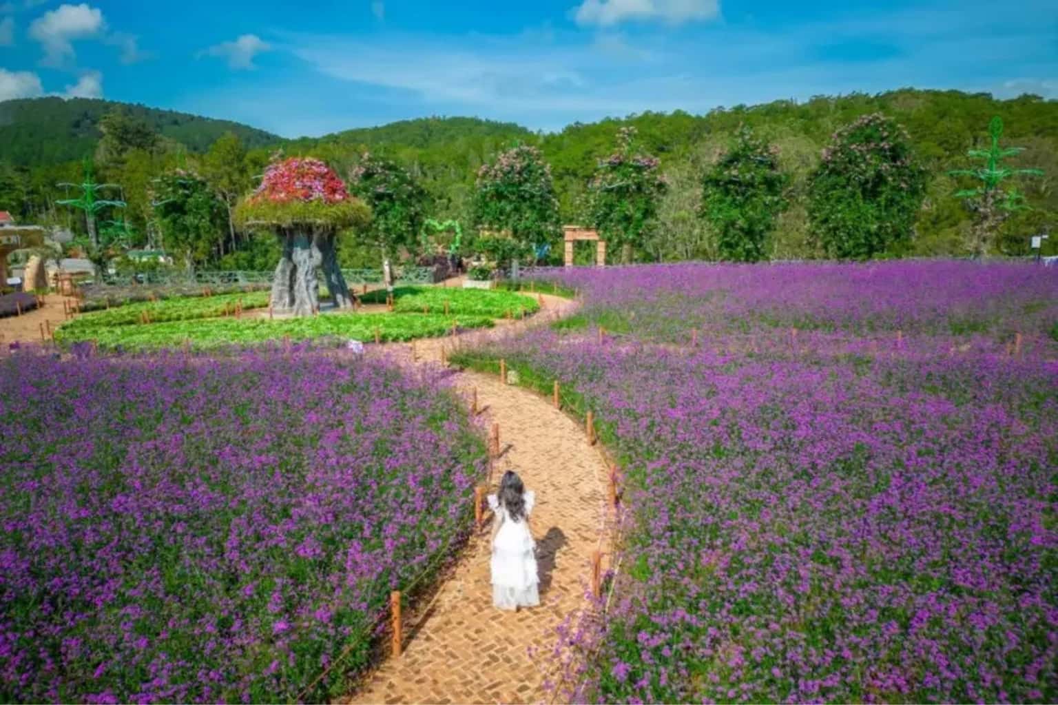 Làng hoa Vạn Thành Đà Lạt — ảnh 1