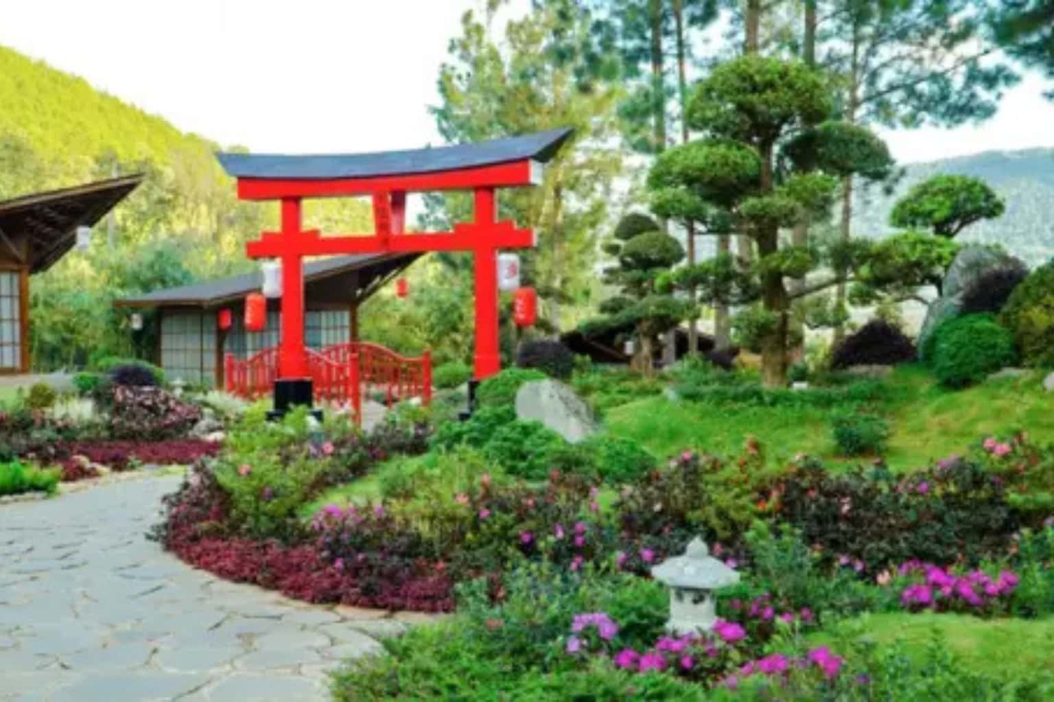 KDL Rừng Thông Núi Voi (Đà Lạt) — ảnh 5