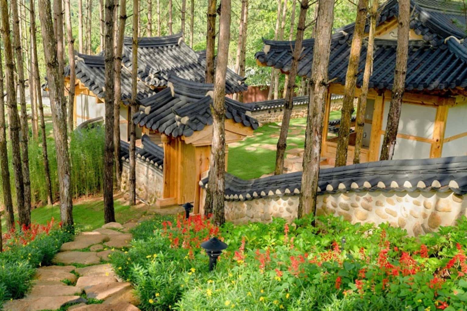 KDL Rừng Thông Núi Voi (Đà Lạt) — ảnh 1