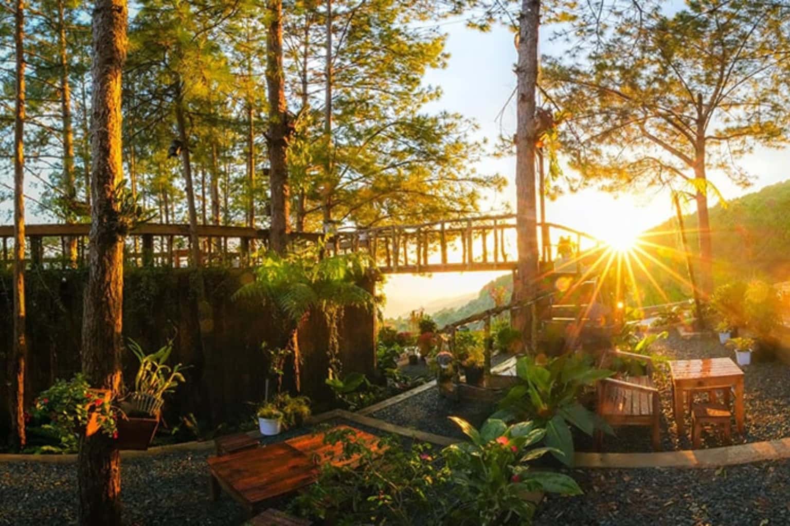 KDL Sinh Thái Cao Nguyên Hoa Đà Lạt — ảnh 6