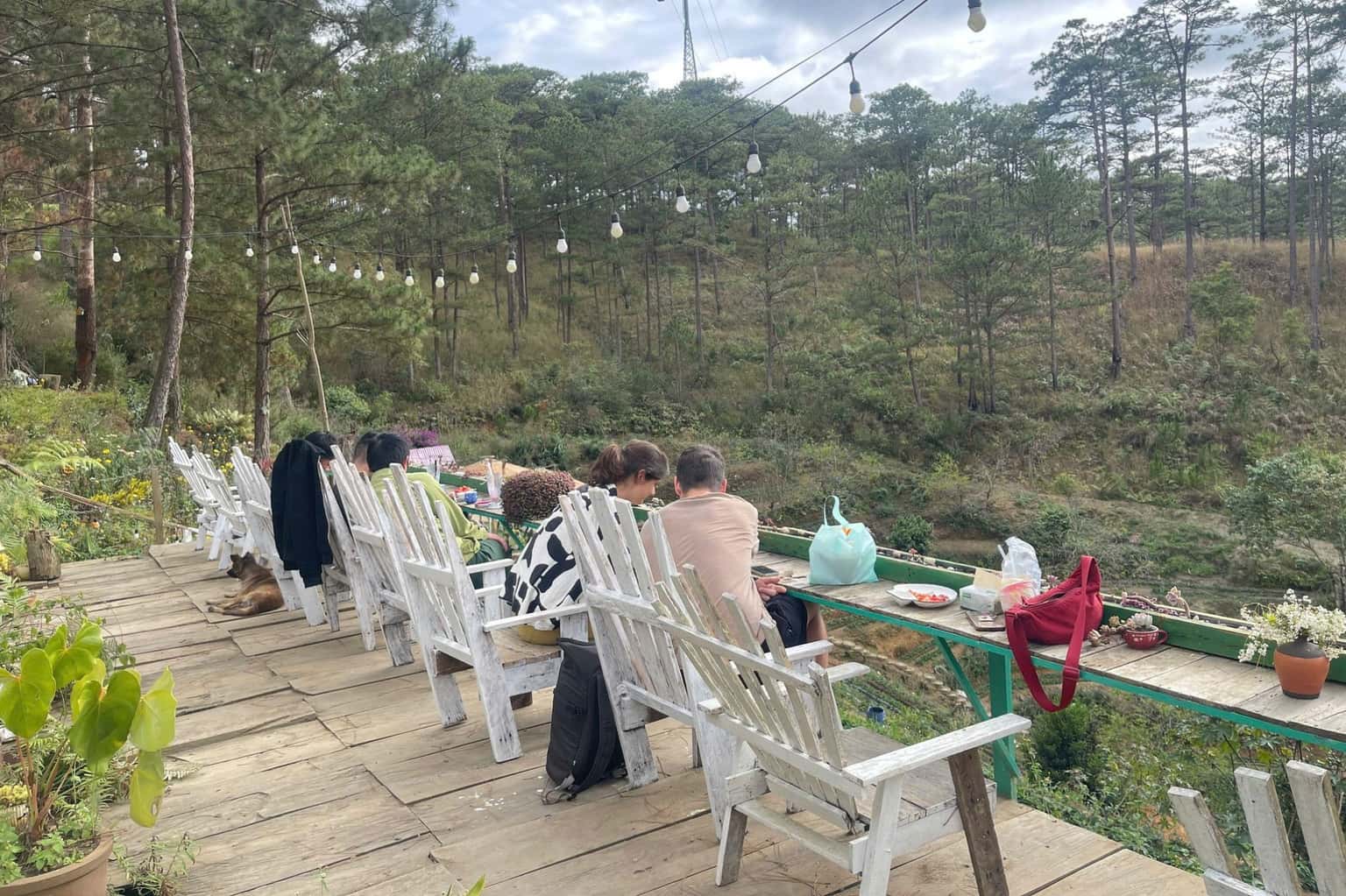 Đèo Mây Farm Đà Lạt — ảnh 1