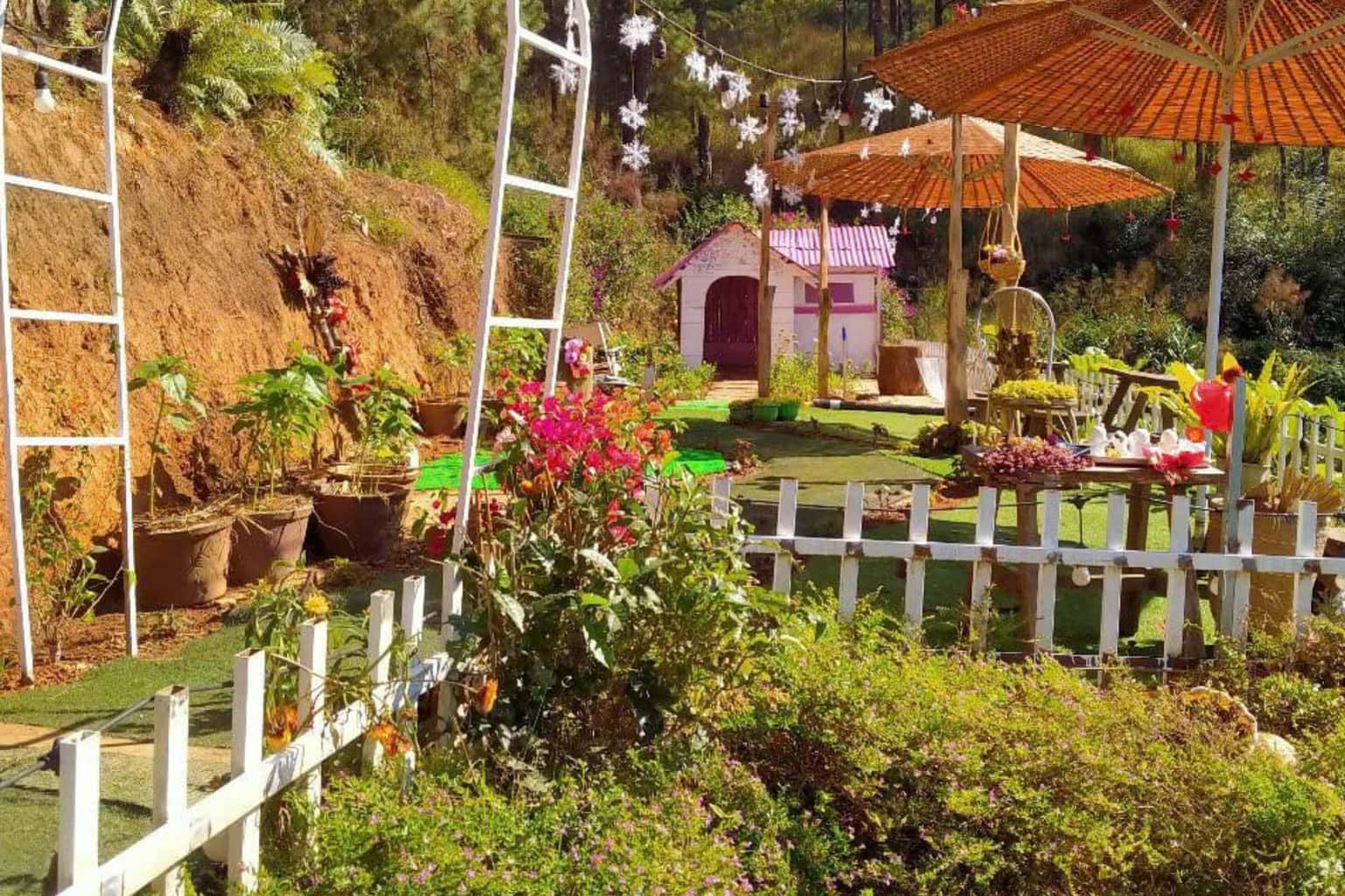 Đèo Mây Farm Đà Lạt — ảnh 5