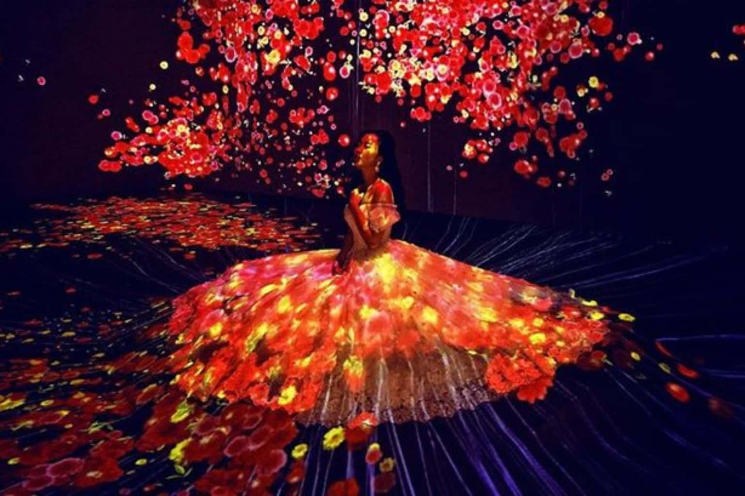 Vườn Ánh Sáng Lumiere (Đà Lạt) — ảnh 5