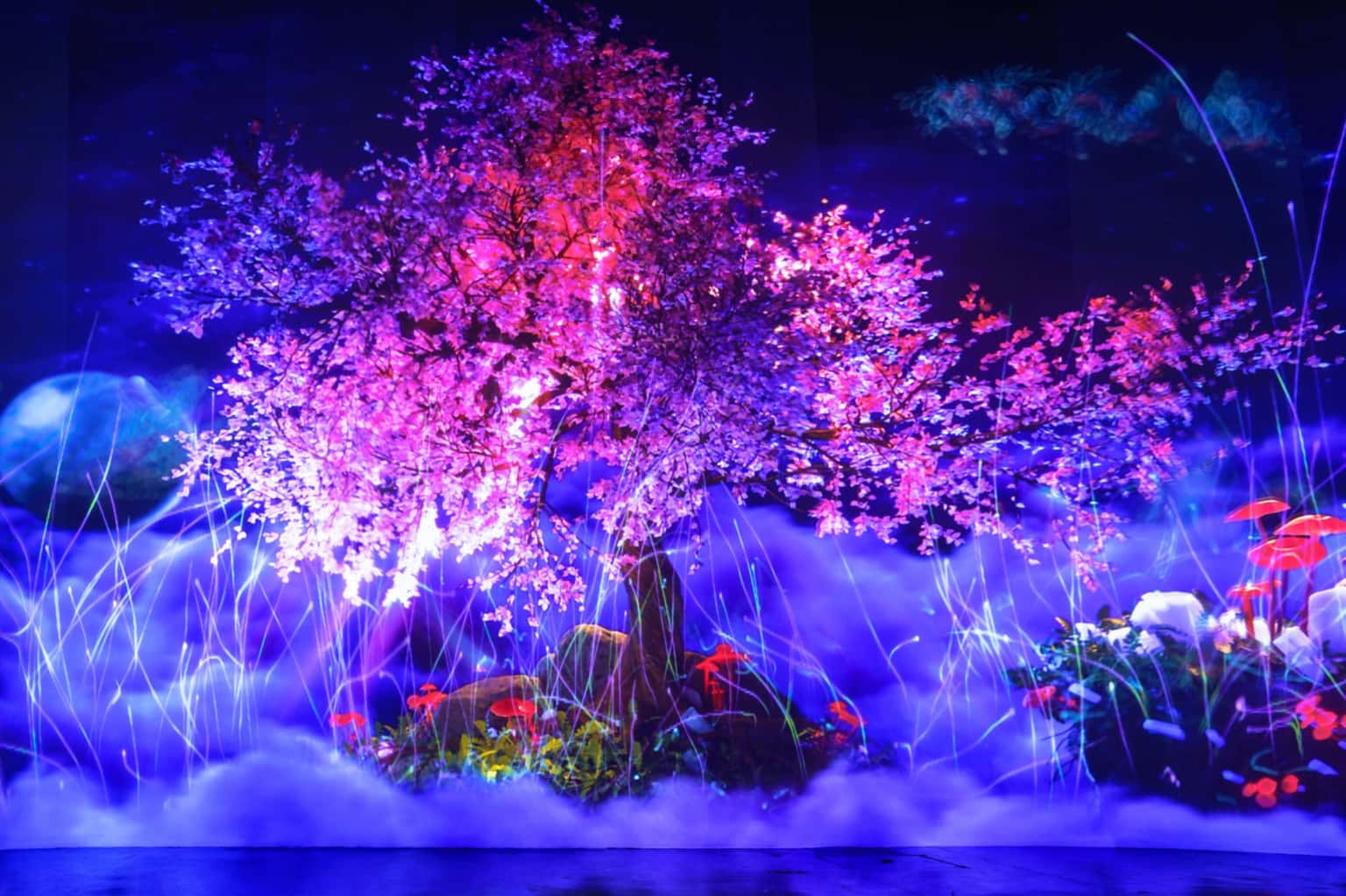 Vườn Ánh Sáng Lumiere (Đà Lạt) — ảnh 2