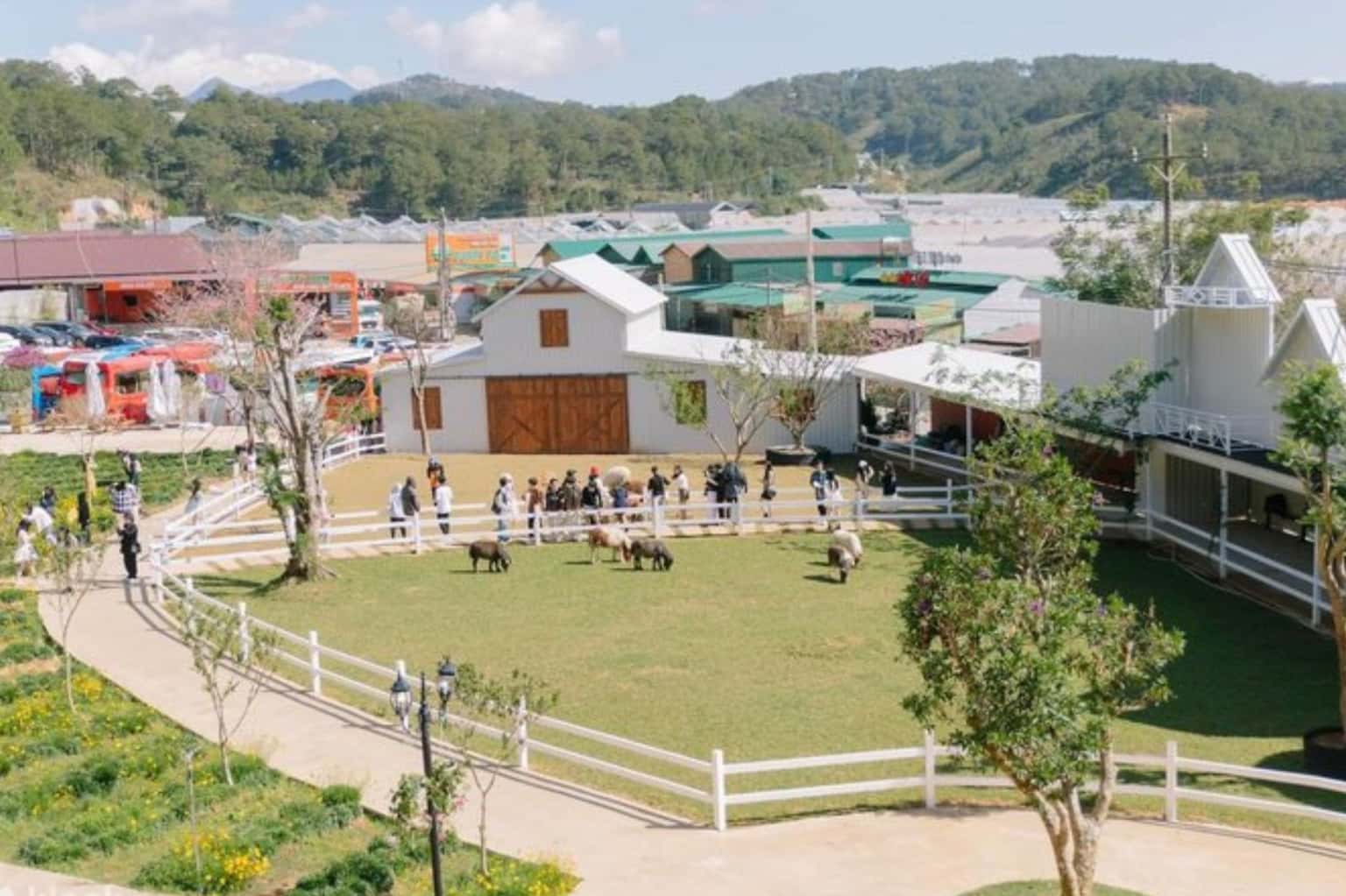 Nông Trại Cún Puppy Farm Đà Lạt — ảnh 4