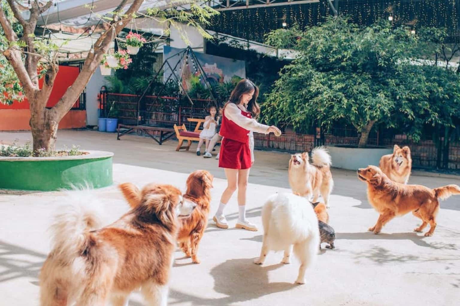 Nông Trại Cún Puppy Farm Đà Lạt — ảnh 2