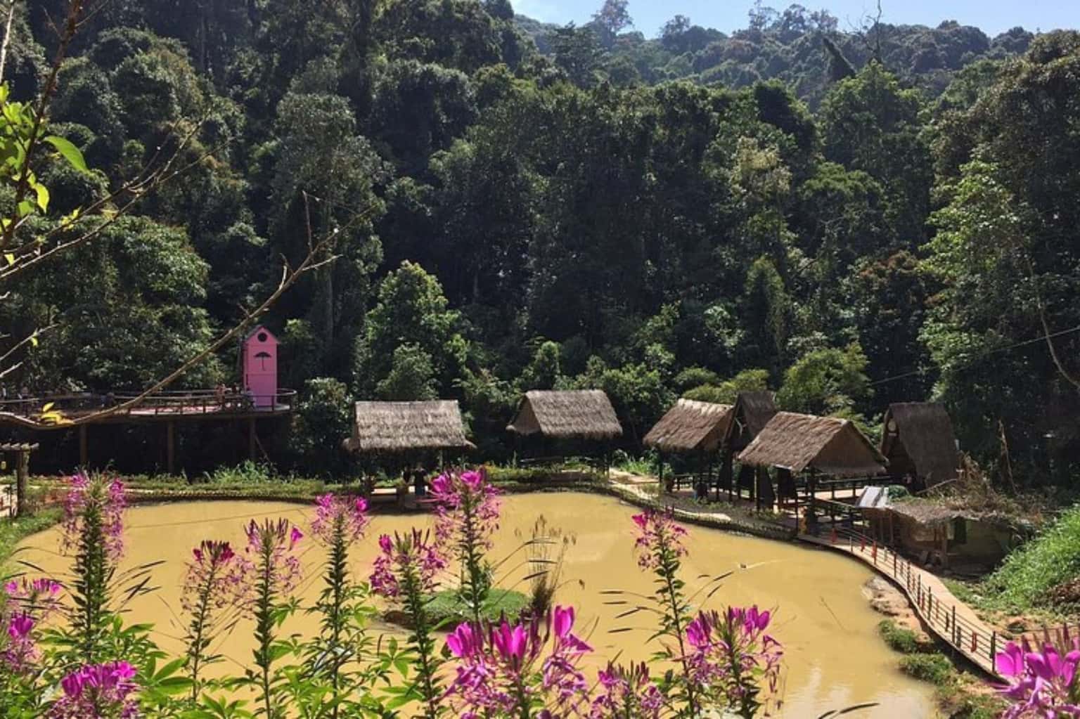 KDL Sinh Thái Hoa Sơn Điền Trang — ảnh 2