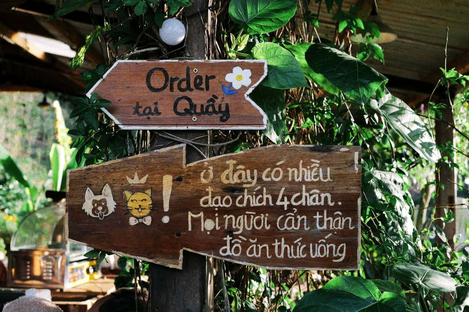 Tiệm Cà Phê Nhà Bên Rừng (Đà Lạt) — ảnh 4