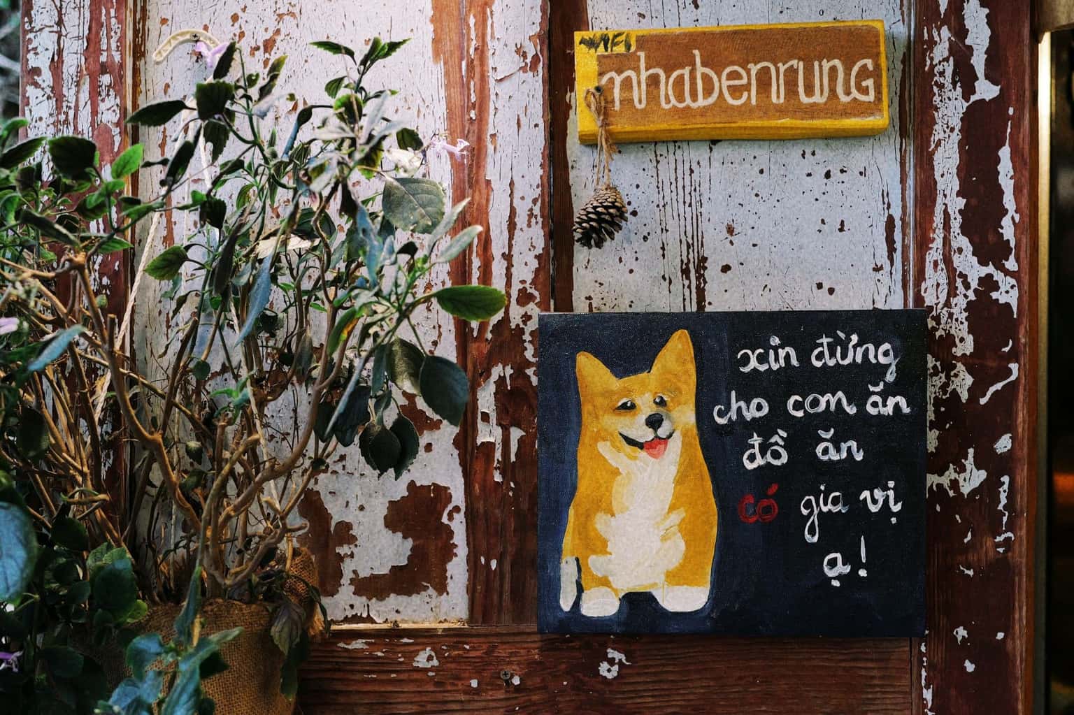 Tiệm Cà Phê Nhà Bên Rừng (Đà Lạt) — ảnh 1