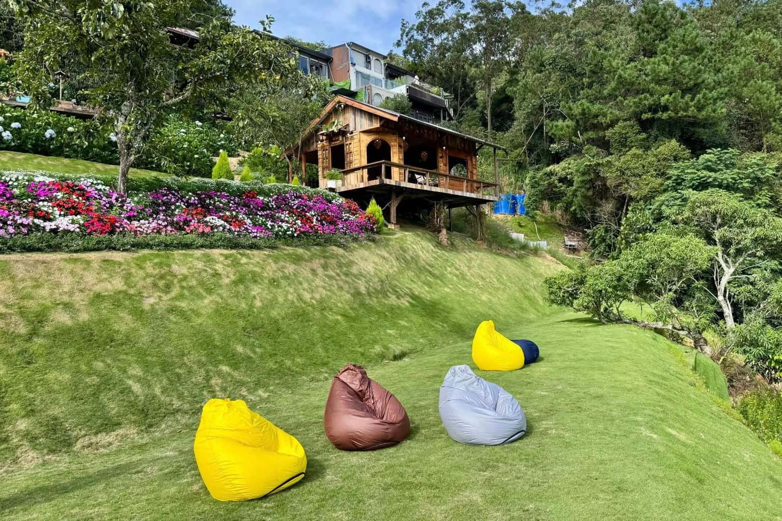 Quán cafe Nhà của Thông (Đà Lạt) — ảnh 3