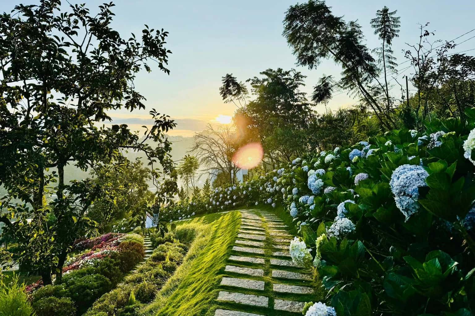 Quán cafe Nhà của Thông (Đà Lạt) — ảnh 8