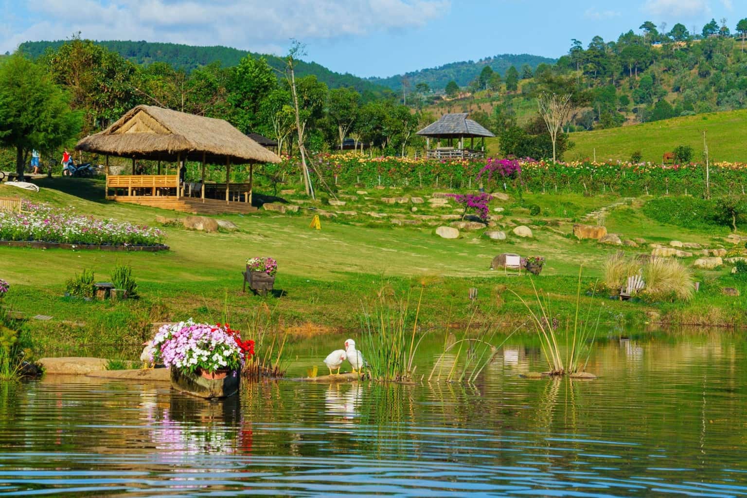 The Florest - Hoa Trong Rừng (Đà Lạt) — ảnh 2
