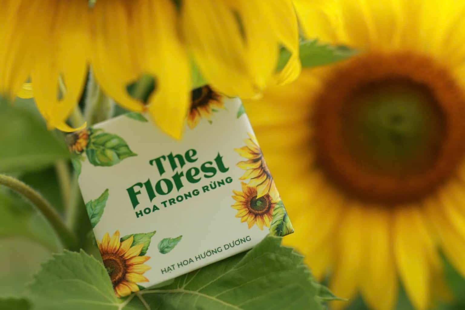 The Florest - Hoa Trong Rừng (Đà Lạt) — ảnh 1
